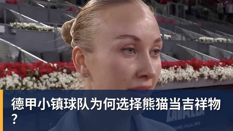 乐冠体育德甲小镇球队为何选择熊猫当吉祥物?